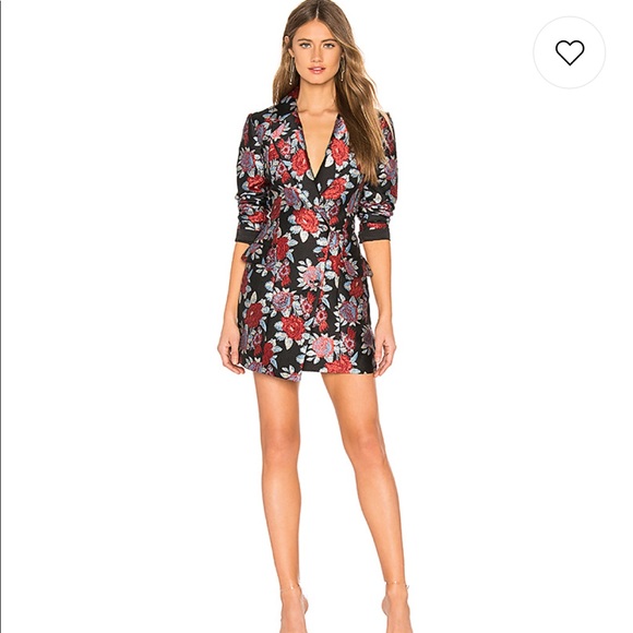lovers and friends ally mini dress